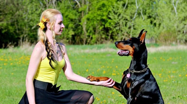 20 Tips for Your Dog Training